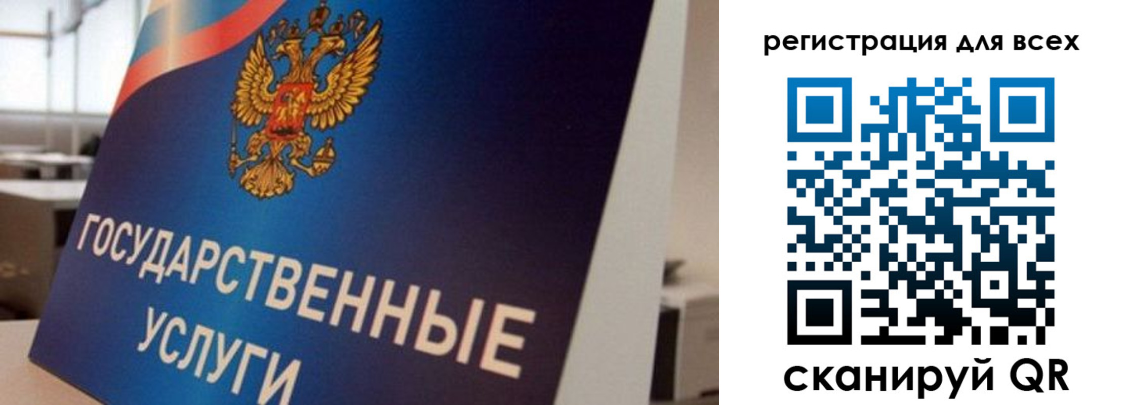 временная регистрация надежно в Владимирской области